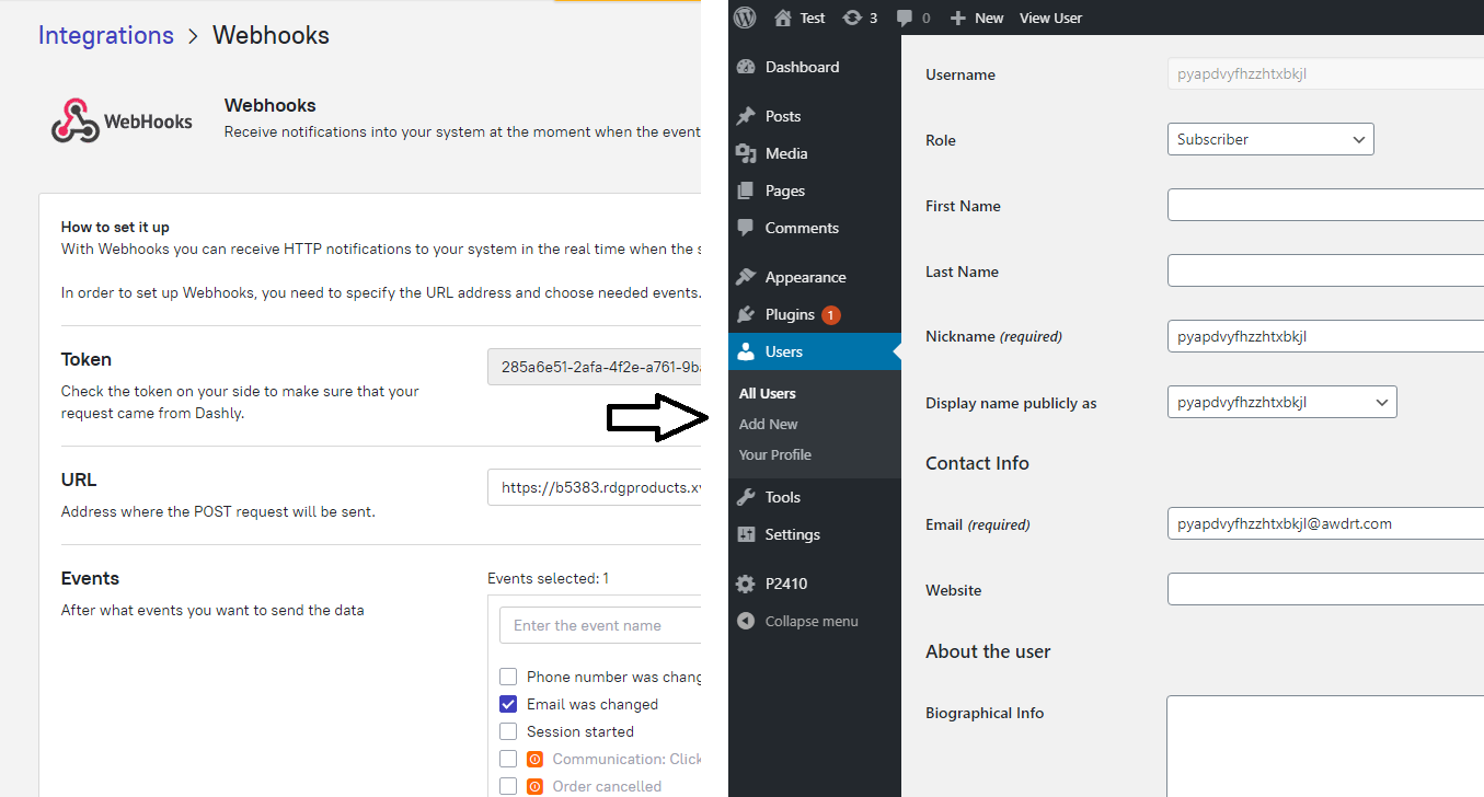 Webhook fra Dashly som utløser automatisk opprettelse av WordPress-konto - testbruker opprettet etter innsending av e-post i chatboten.